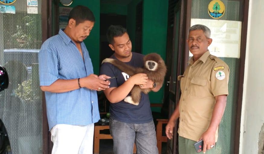 owa serudung aceh